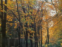 Tuškanac, oko 1985. godine